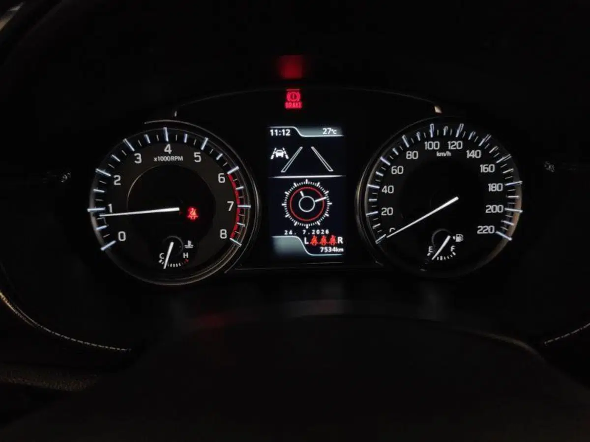 Suzuki Vitara usata a Genova (13)