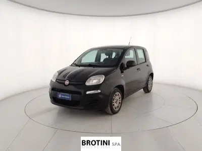 Fiat Panda 1.2 Easy del 2019 usata a Massa