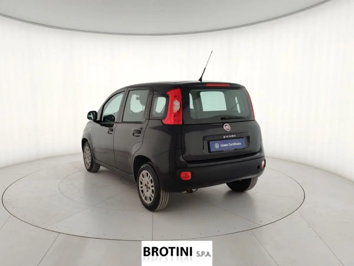 Fiat Panda usata a Massa-Carrara (2)