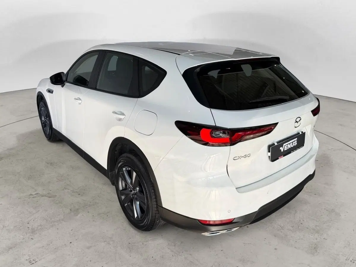 Mazda CX-60 usata a Monza e Brianza (3)