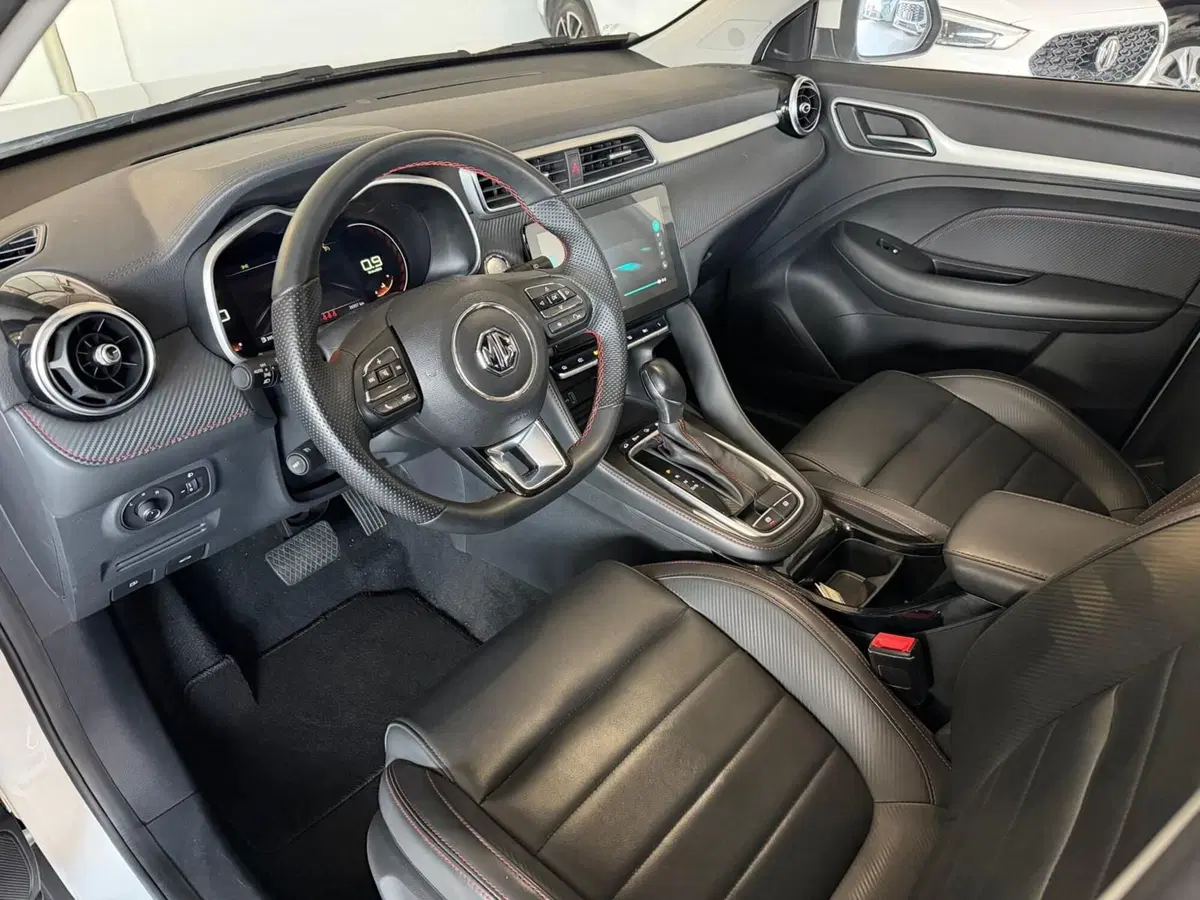 Mg ZS usata a Monza e Brianza (10)