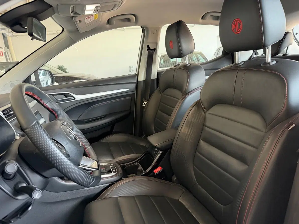 Mg ZS usata a Monza e Brianza (9)