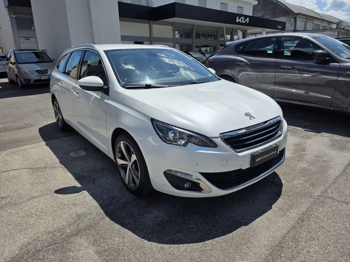 Peugeot 308 SW usata a Rimini (3)