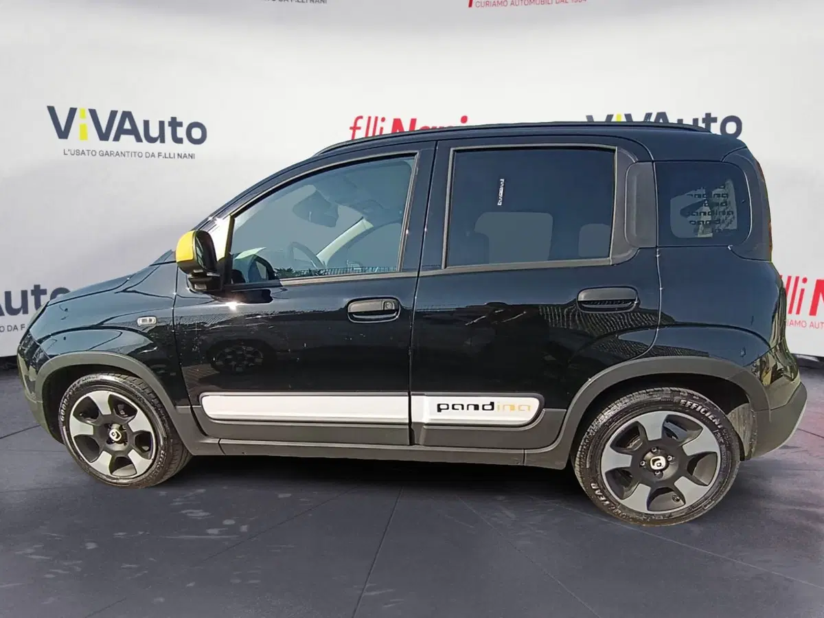 Fiat Panda Cross usata a Massa-Carrara (7)