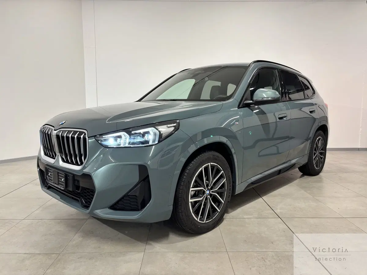 BMW X1 usata a Brescia (2)