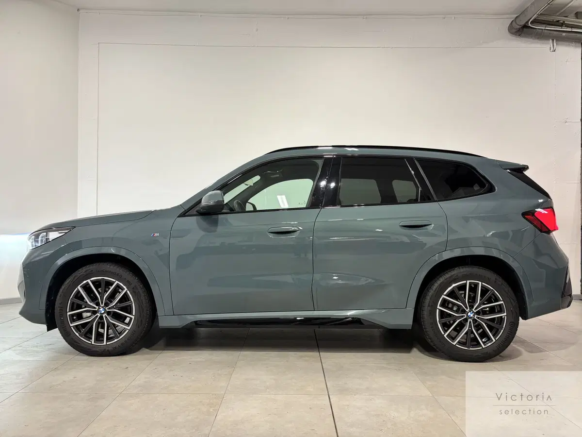 BMW X1 usata a Brescia (3)