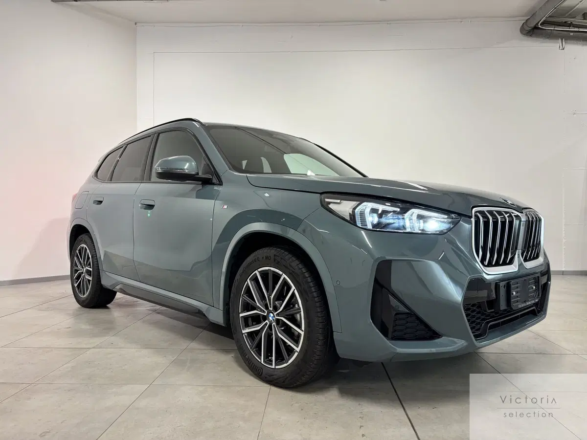 BMW X1 usata a Brescia (5)