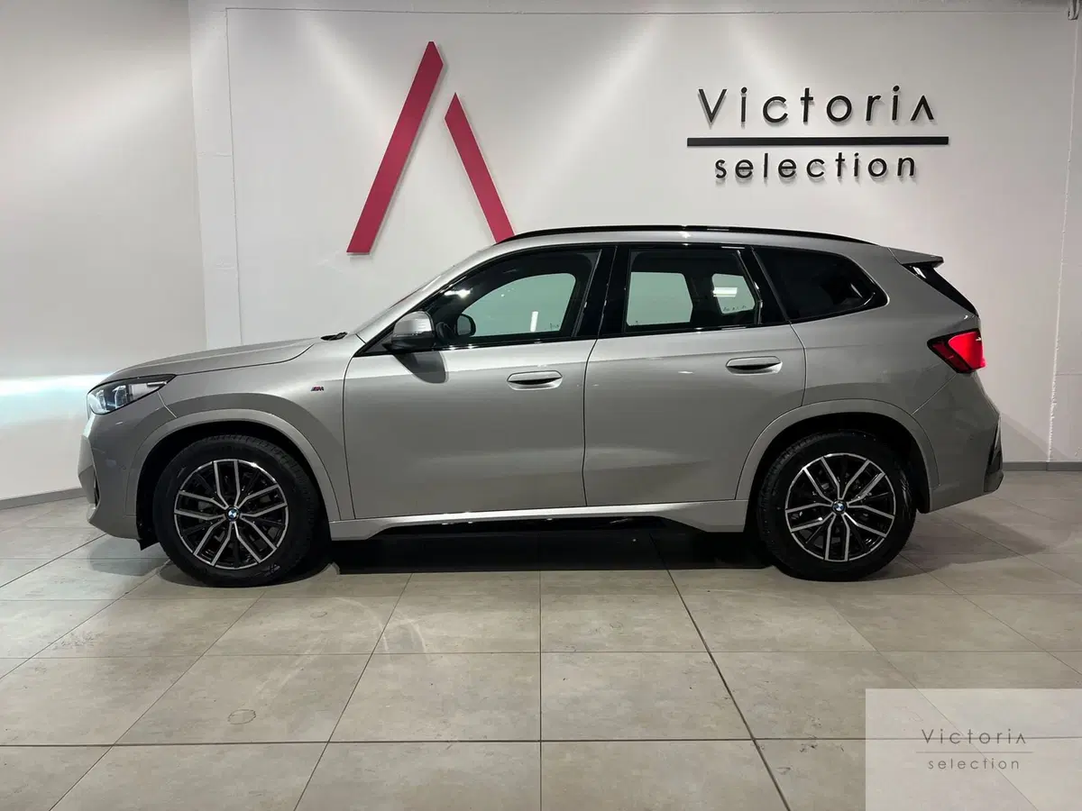 BMW X1 usata a Brescia (4)