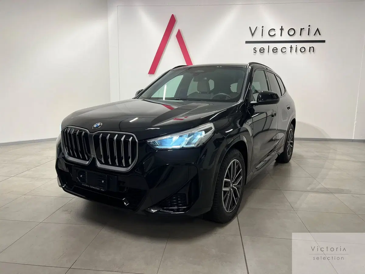 BMW X1 usata a Brescia (2)
