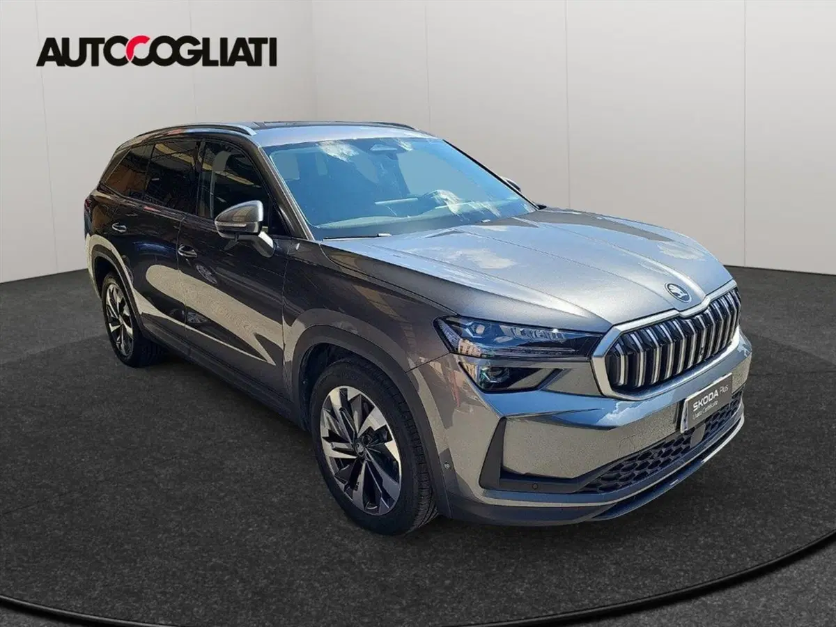 Skoda Kodiaq usata a Lecco (3)