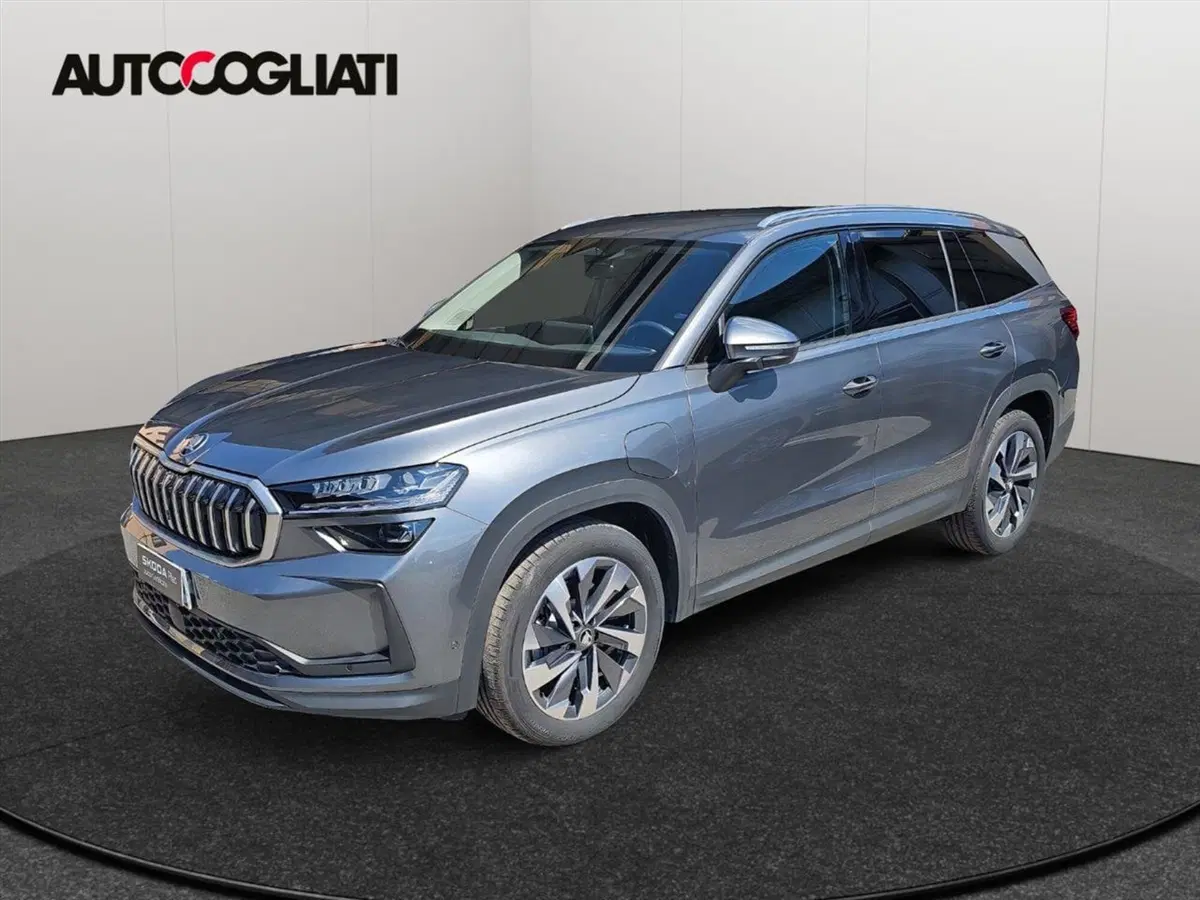 Skoda Kodiaq usata a Lecco (4)