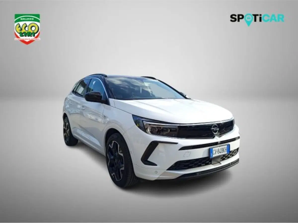 Opel Grandland usata a Frosinone (3)
