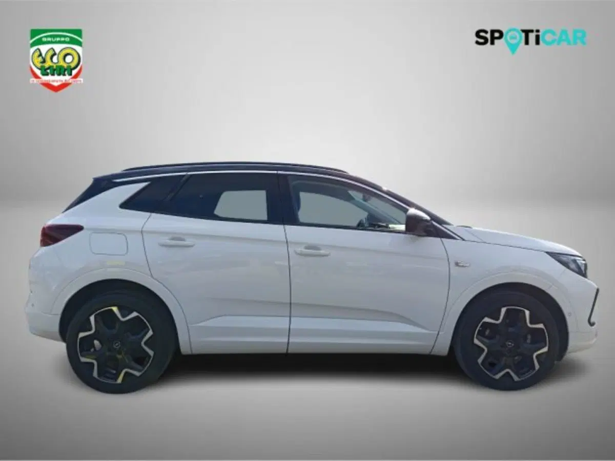 Opel Grandland usata a Frosinone (4)