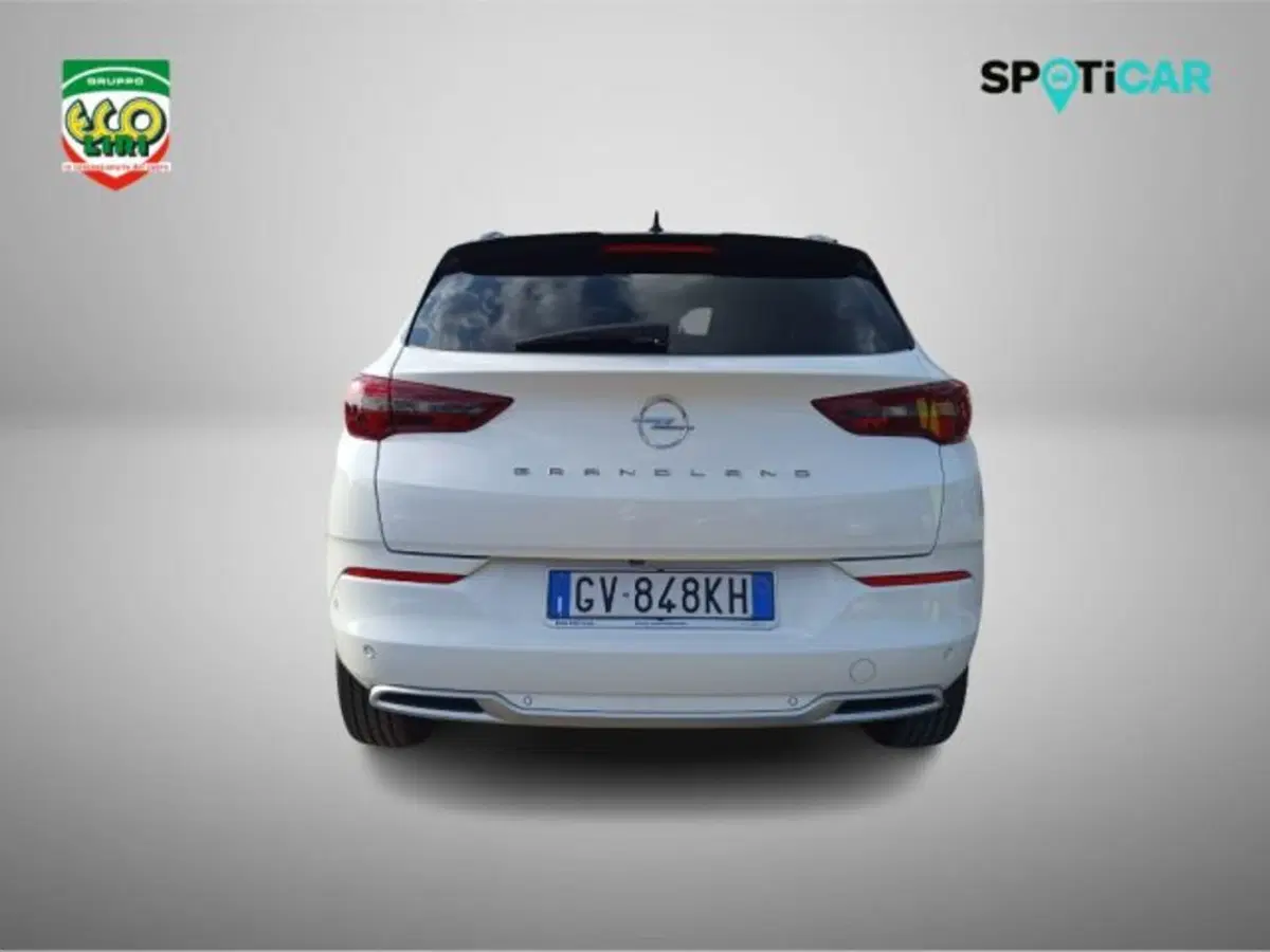 Opel Grandland usata a Frosinone (5)