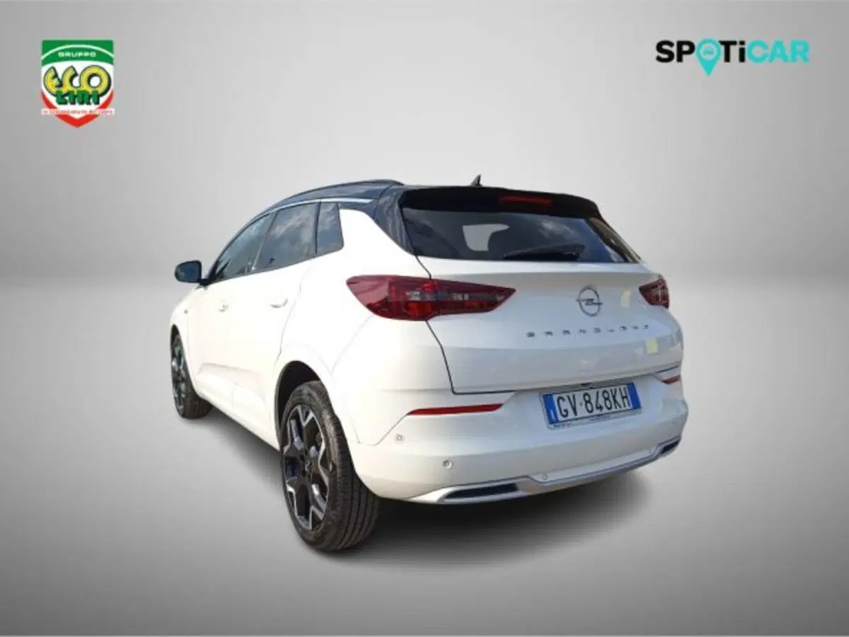Opel Grandland usata a Frosinone (7)