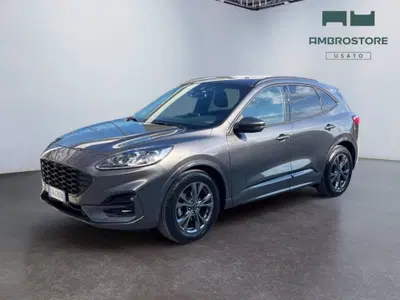 Ford Kuga 2.0 EcoBlue 120 CV aut. 2WD ST-Line X del 2023 usata a Segrate
