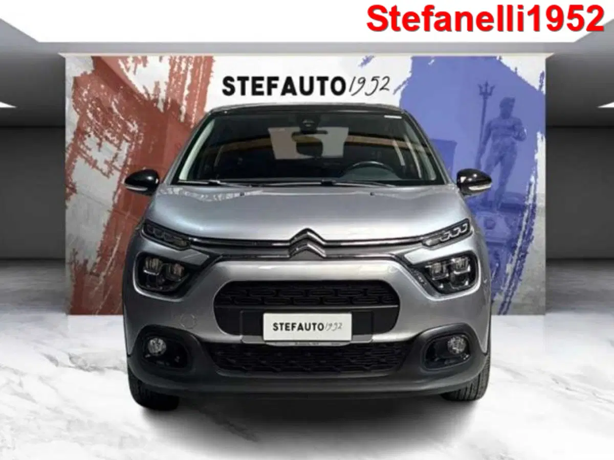 Citroen C3 usata a Bologna (2)