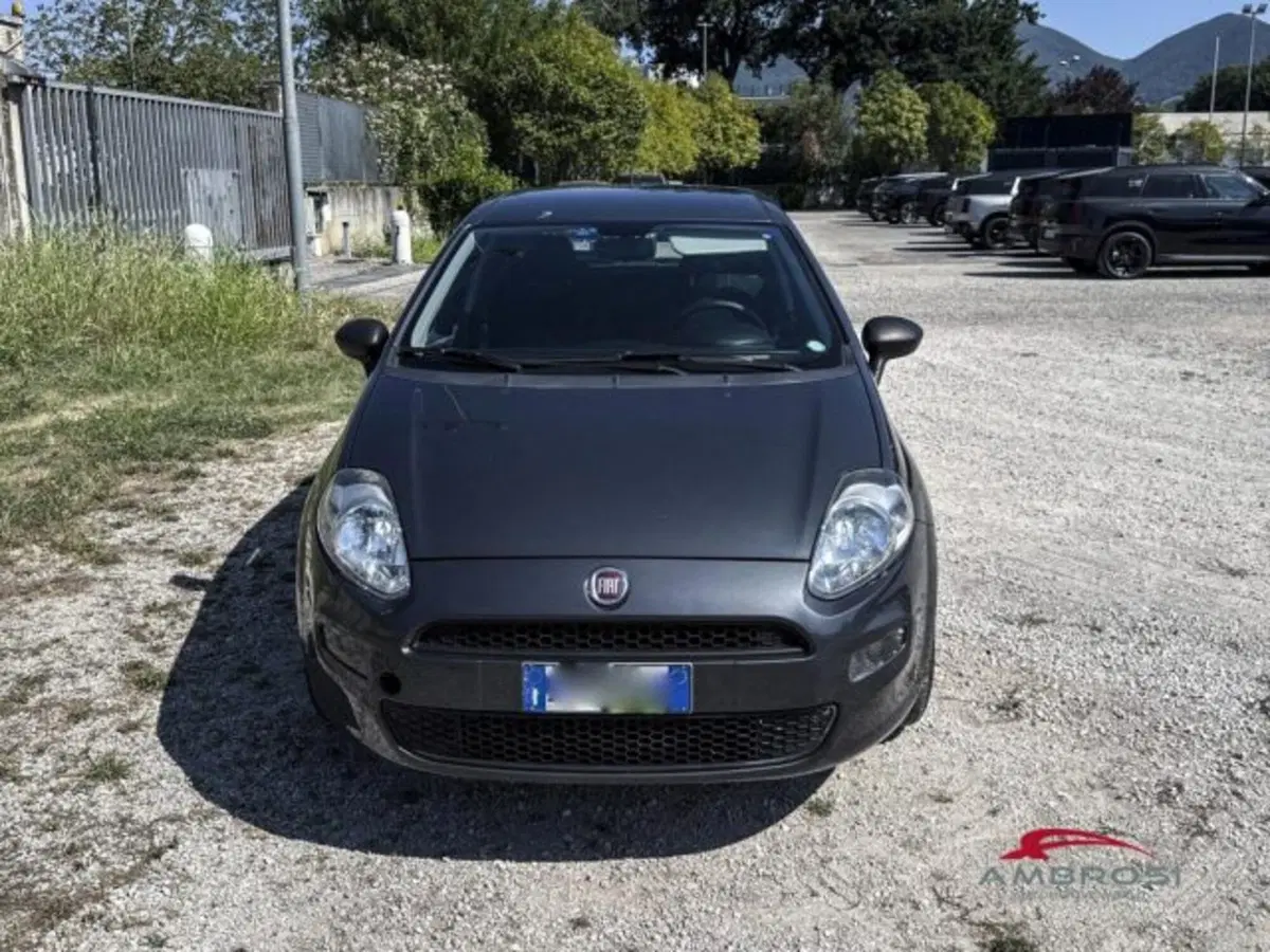 Fiat Punto usata a Perugia