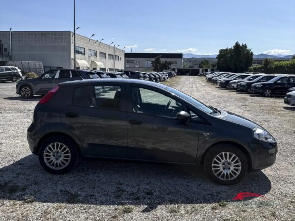 Fiat Punto usata a Perugia (2)