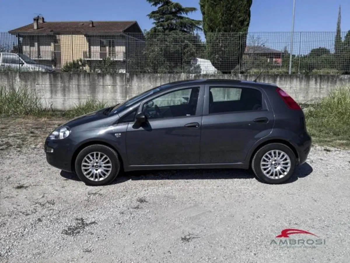 Fiat Punto usata a Perugia (3)