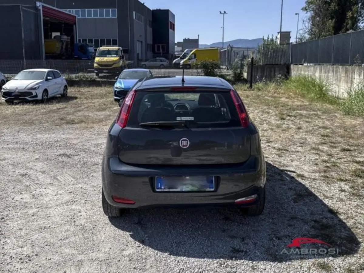 Fiat Punto usata a Perugia (4)
