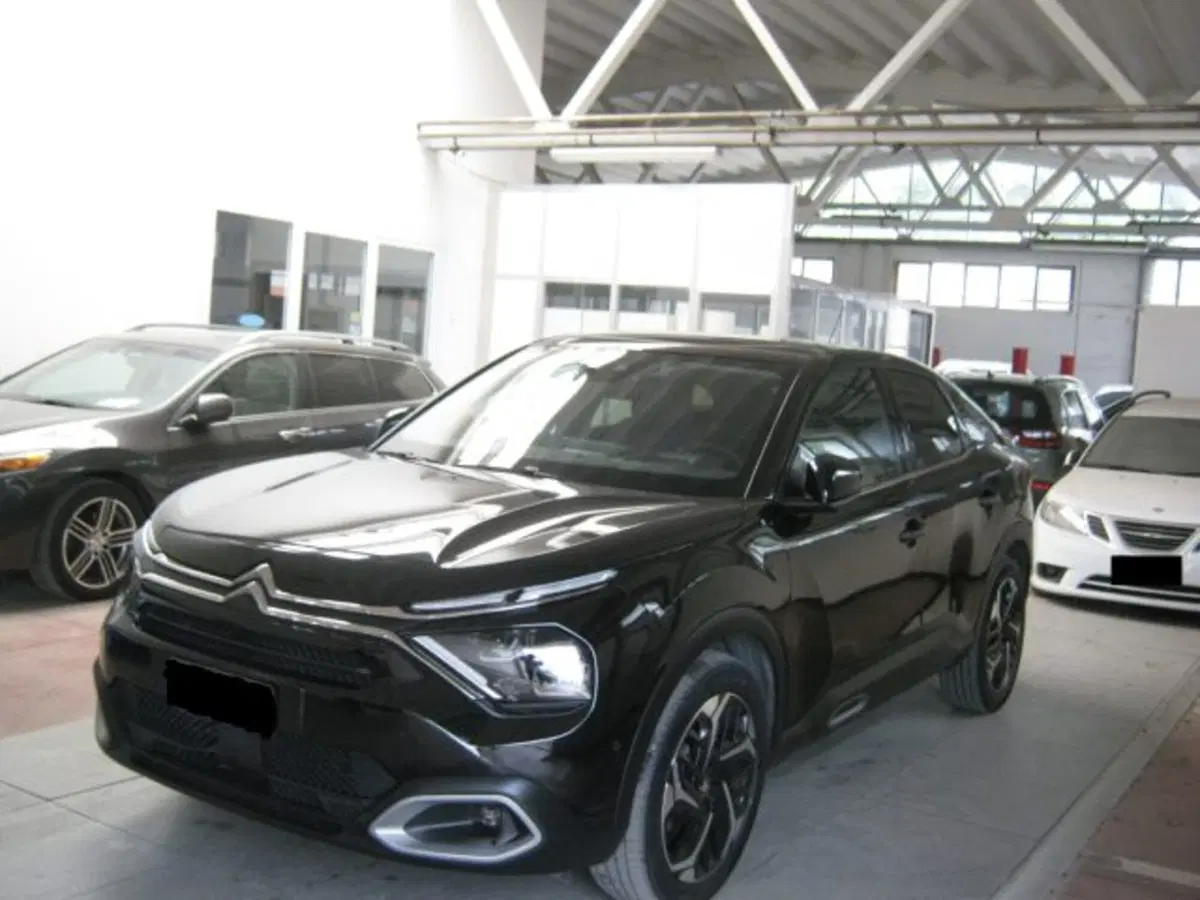 Citroen C4 usata a Fermo (4)