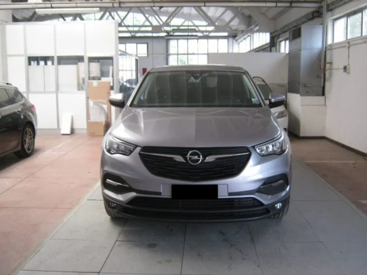 Opel Grandland X usata a Fermo (2)