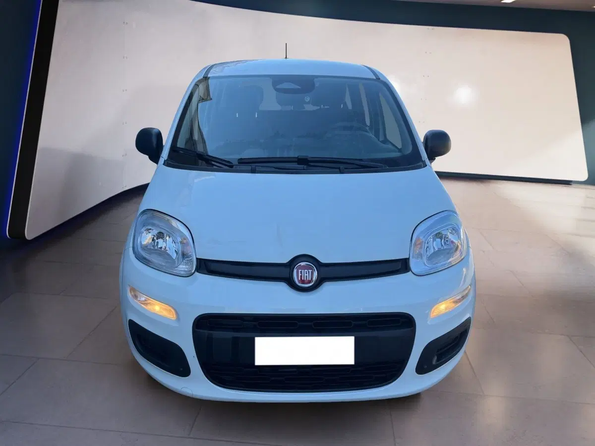 Fiat Pandina usata a Torino