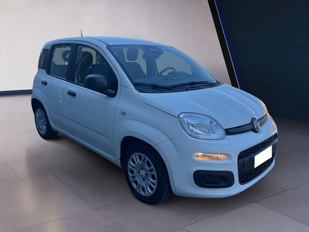Fiat Pandina usata a Torino (2)