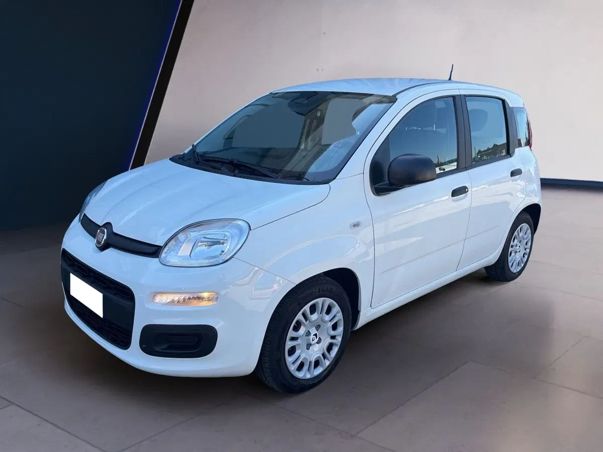Fiat Pandina usata a Torino (3)