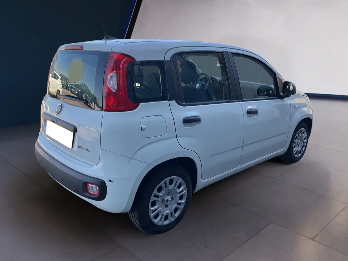 Fiat Pandina usata a Torino (6)