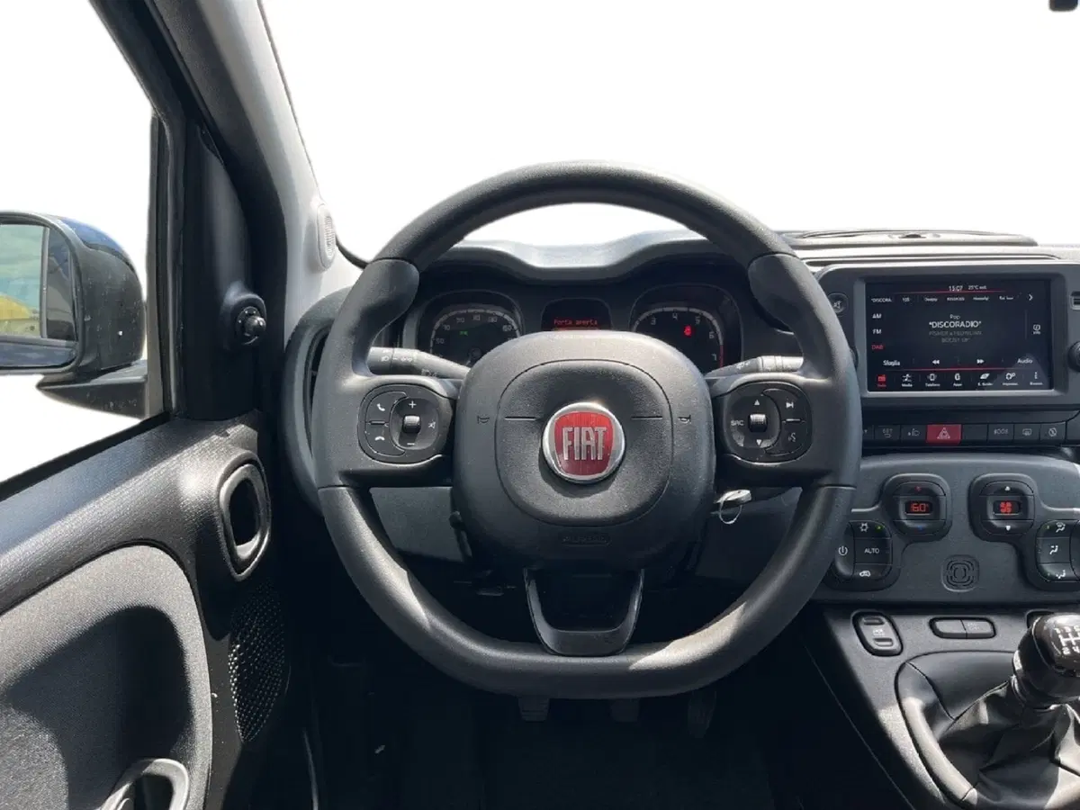 Fiat Panda Cross usata a Torino (11)