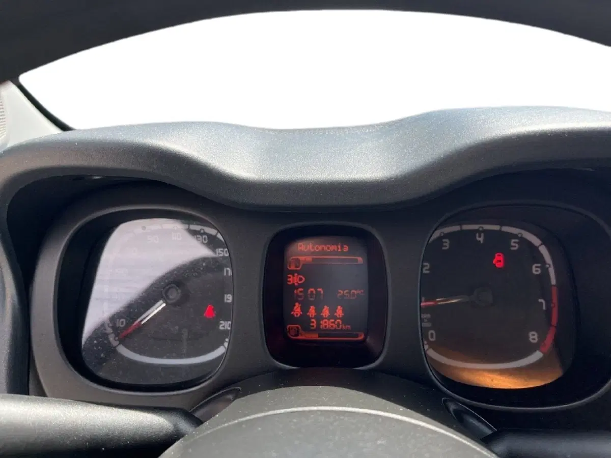 Fiat Panda Cross usata a Torino (14)