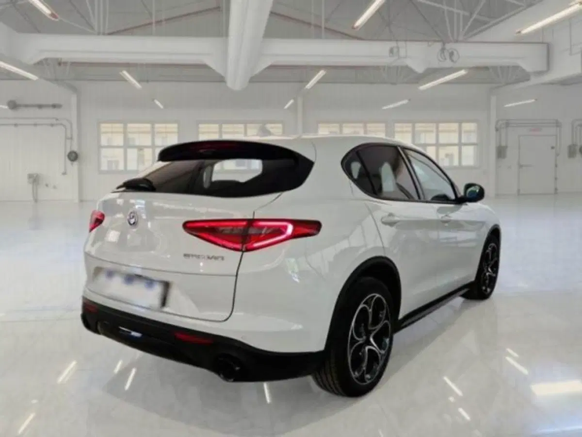 Alfa Romeo Stelvio usata a Catania (2)