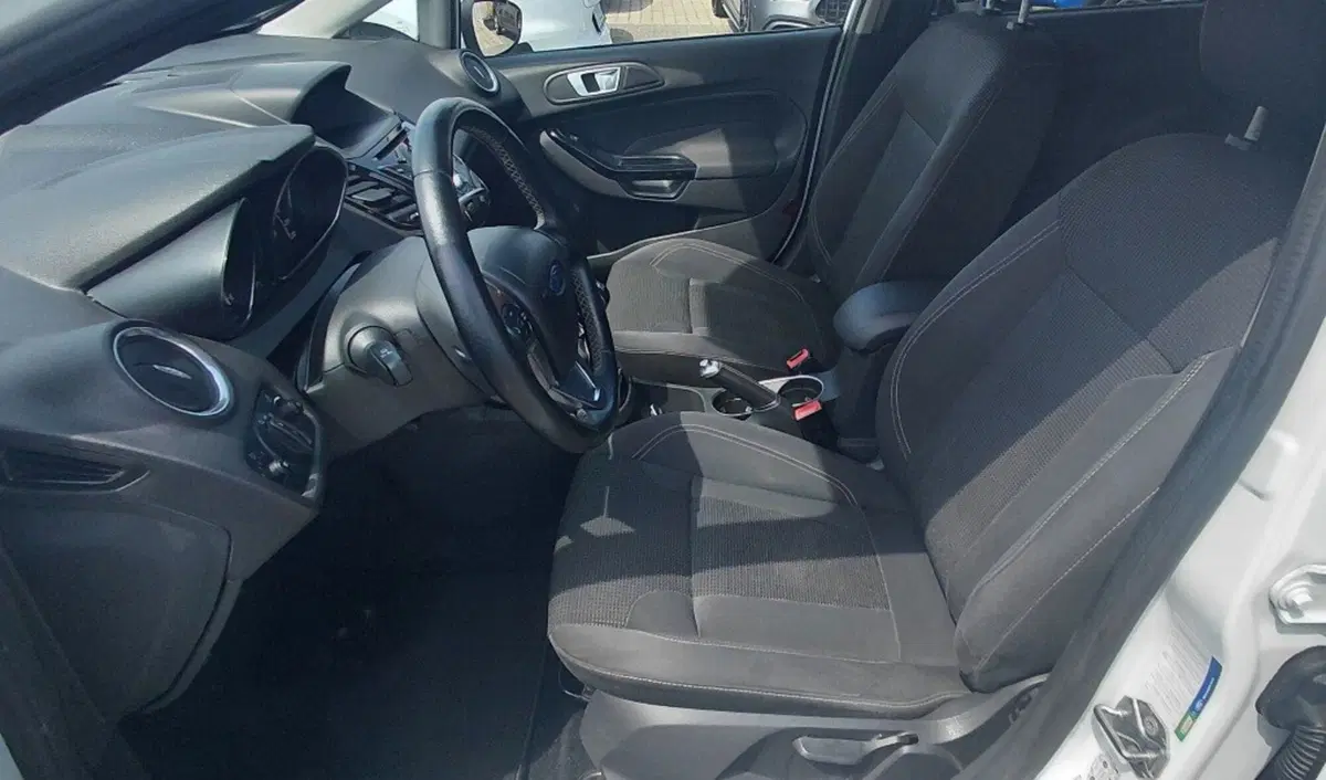 Ford Fiesta usata a Cosenza (11)