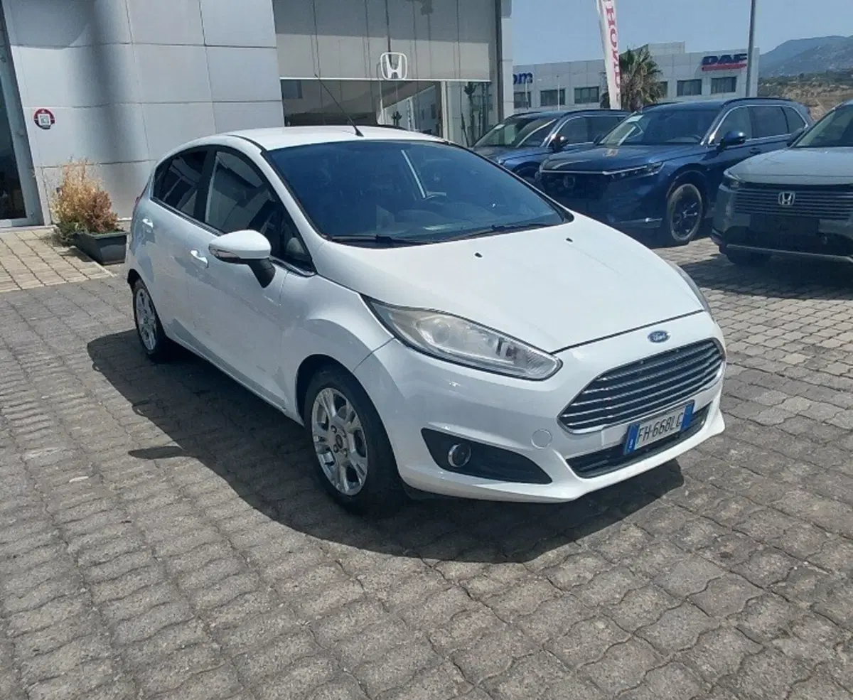 Ford Fiesta usata a Cosenza (3)