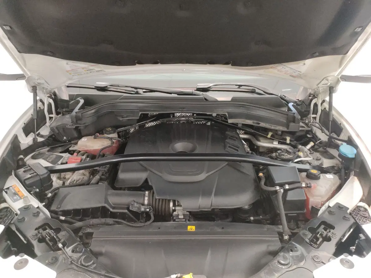 Alfa Romeo Stelvio usata a L'Aquila (10)