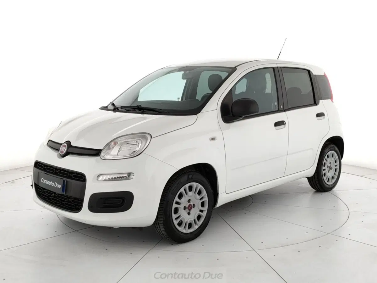 Fiat Panda usata a Caserta