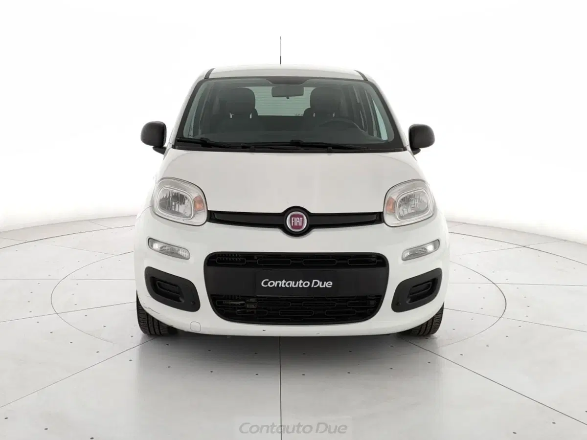 Fiat Panda usata a Caserta (2)