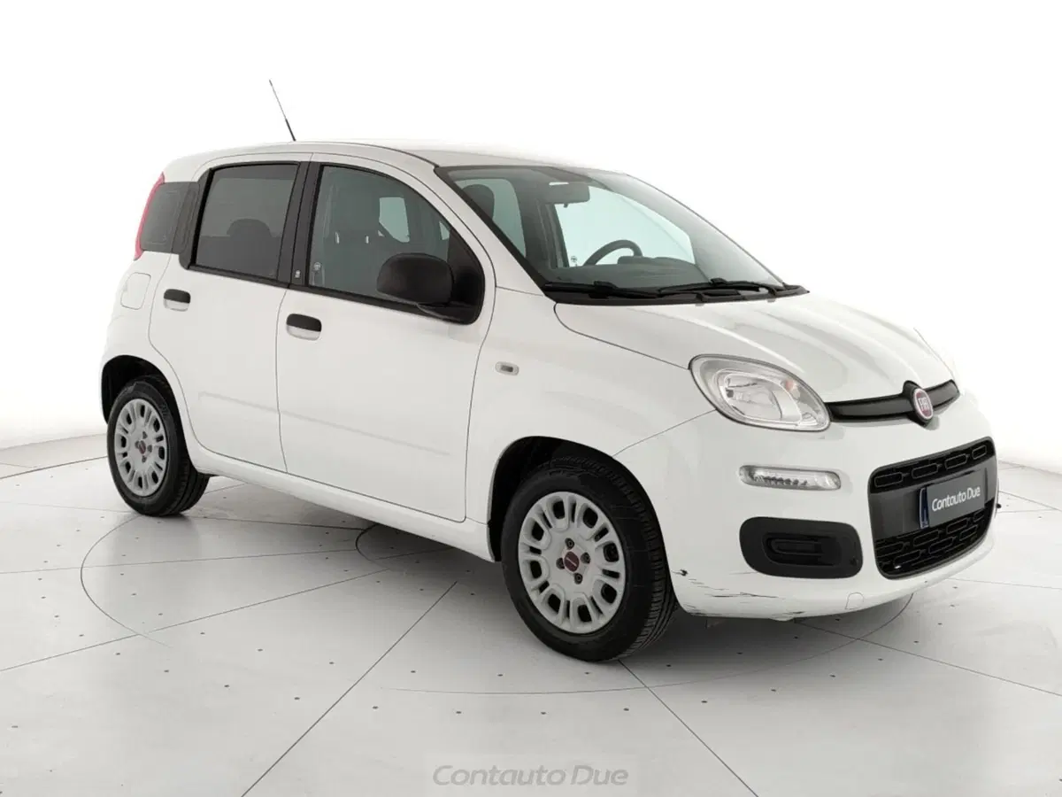 Fiat Panda usata a Caserta (3)
