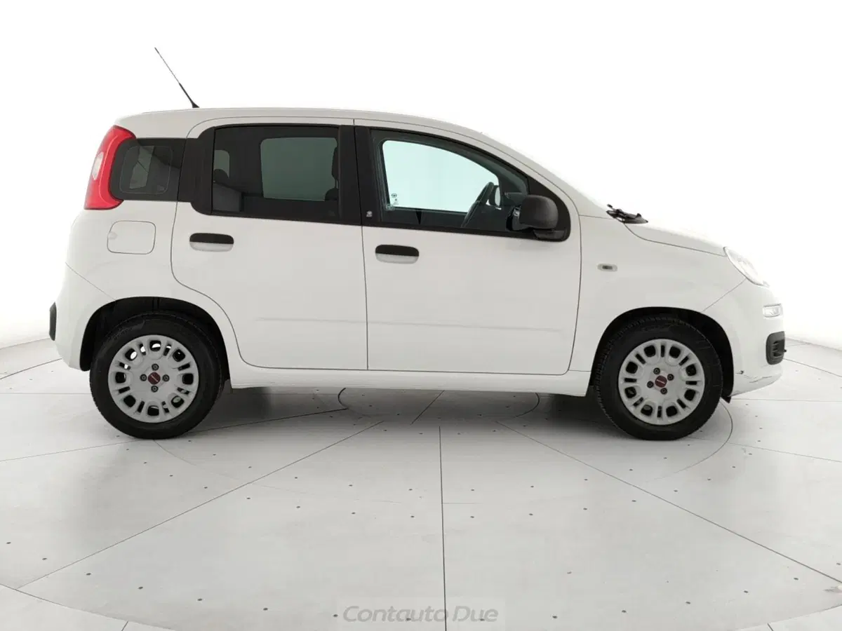 Fiat Panda usata a Caserta (4)