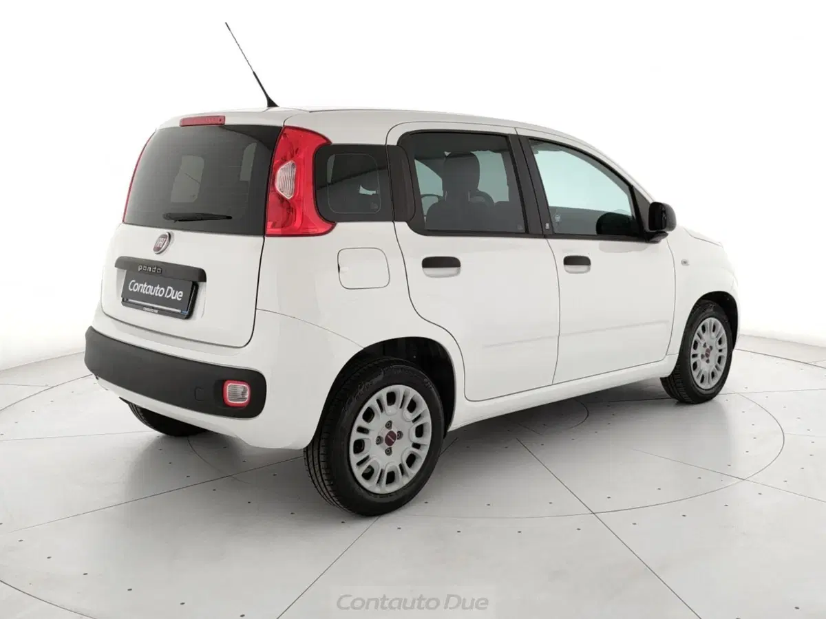 Fiat Panda usata a Caserta (5)