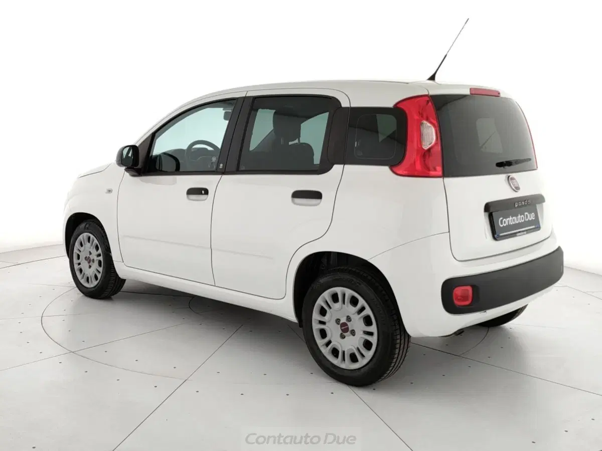 Fiat Panda usata a Caserta (7)