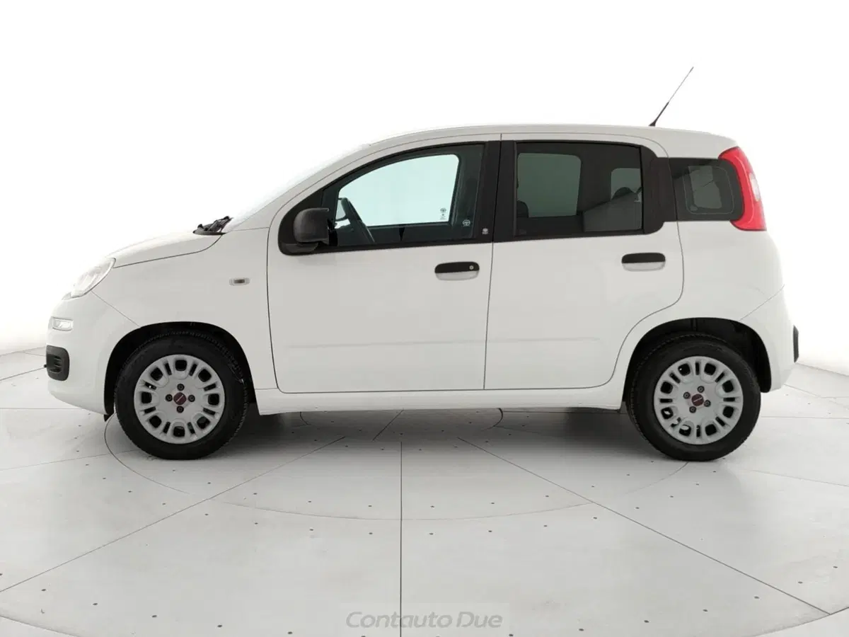 Fiat Panda usata a Caserta (8)