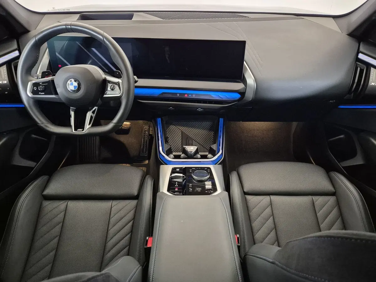 BMW X3 usata a Alessandria (18)