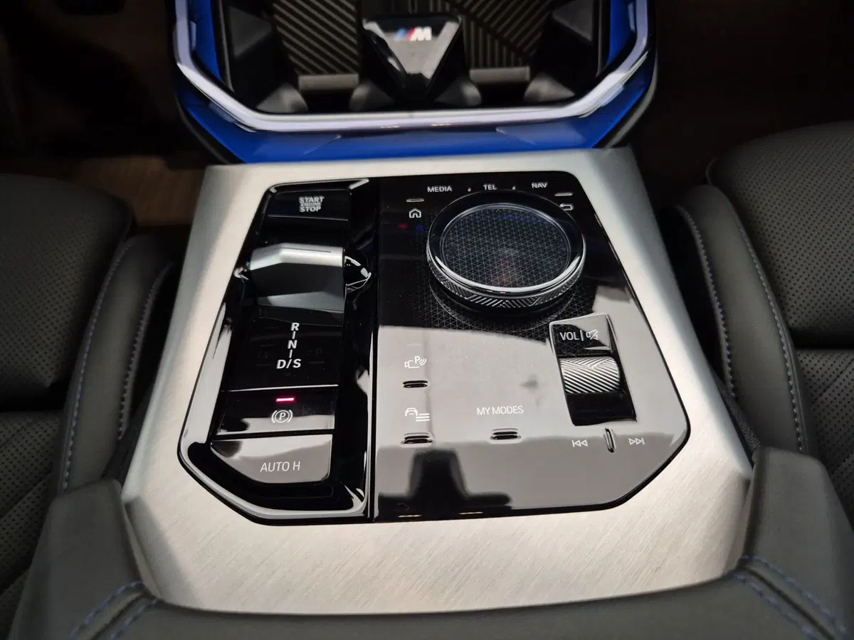BMW X3 usata a Alessandria (19)