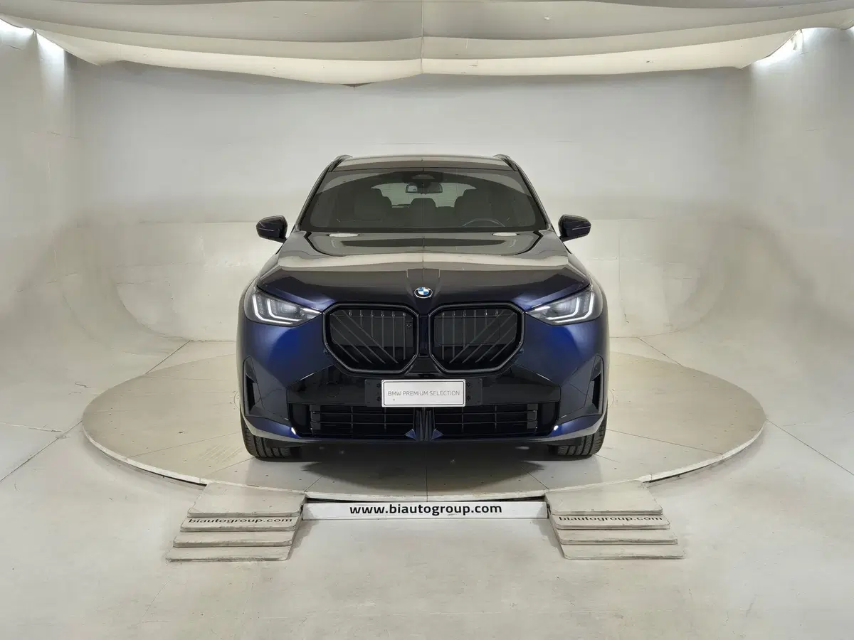 BMW X3 usata a Alessandria (2)