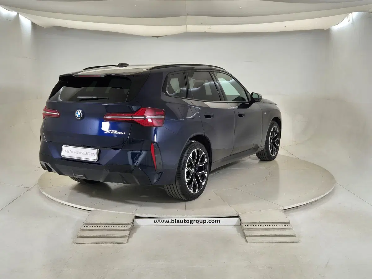 BMW X3 usata a Alessandria (4)