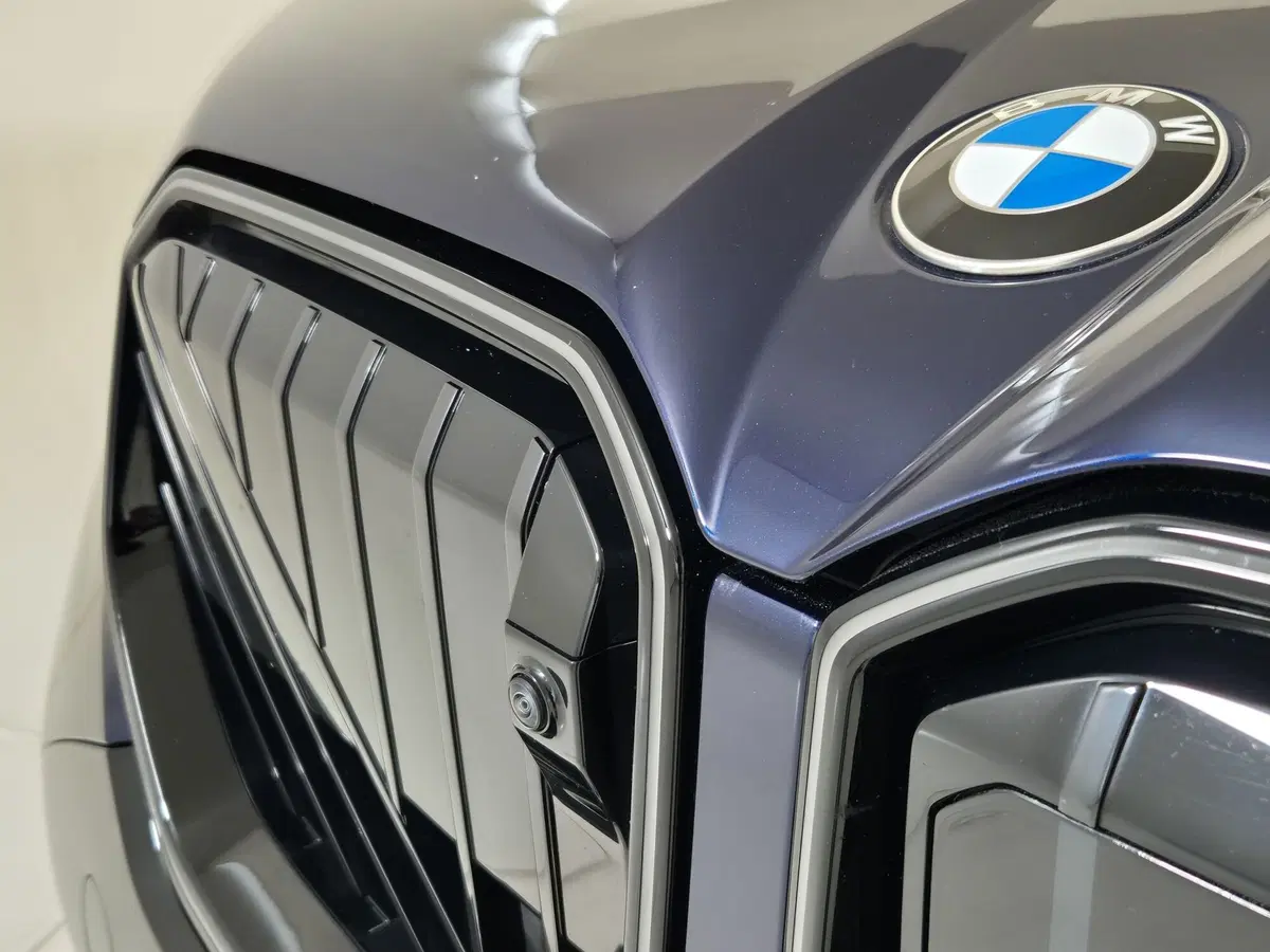 BMW X3 usata a Alessandria (8)