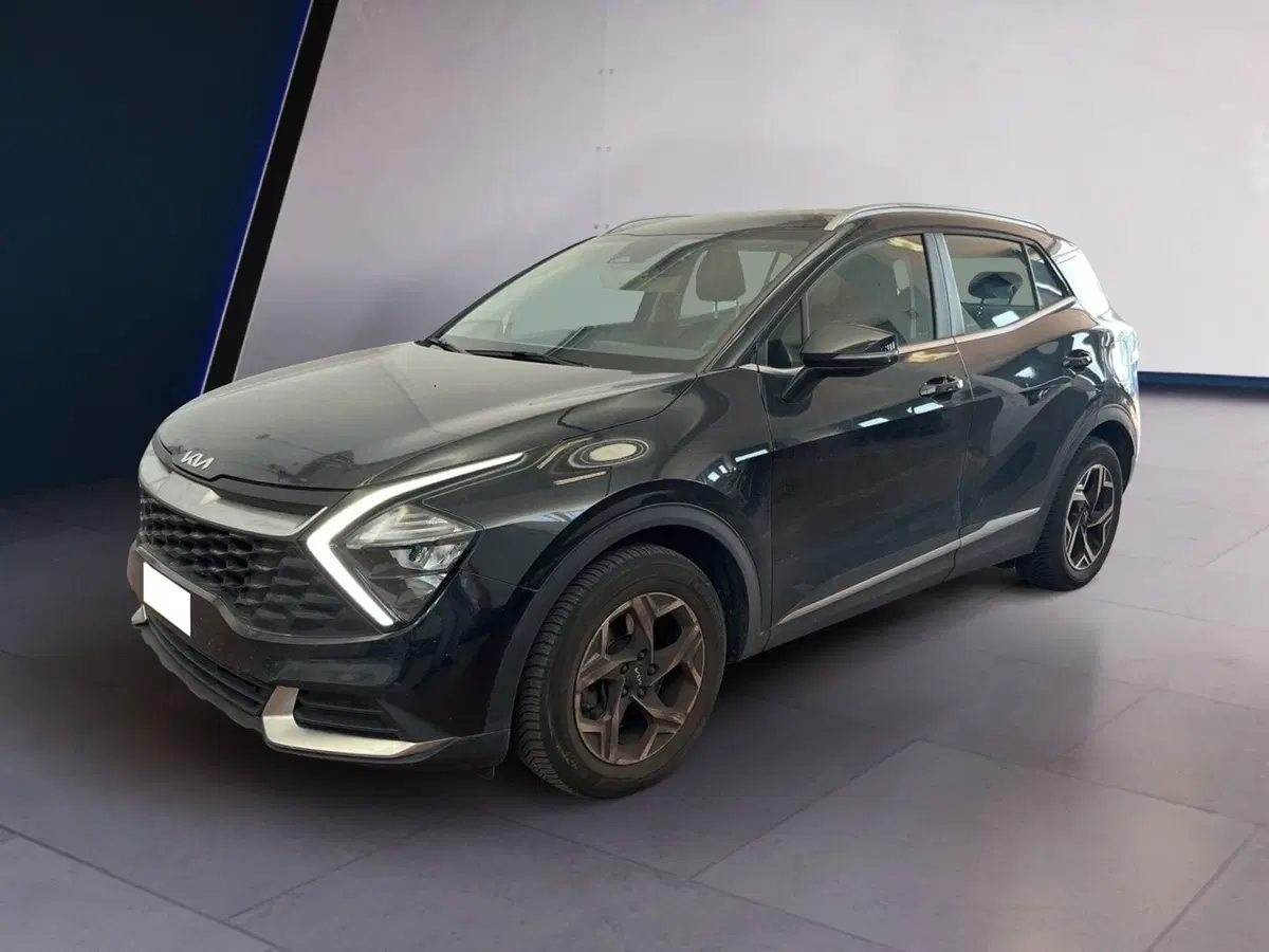 Kia Sportage usata a Torino (2)